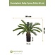 Greenmoods Kunstplant Baby Cycas Palm 60 cm Greenmoods Kunstplant Baby Cycas Palm 60 cm