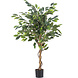 Greenmoods Kunstplant Ficus Groen 120 cm Greenmoods Kunstplant Ficus Groen 120 cm