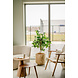 Greenmoods Kunstplant Ficus Groen 120 cm Greenmoods Kunstplant Ficus Groen 120 cm