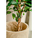 Greenmoods Kunstplant Ficus Groen 120 cm Greenmoods Kunstplant Ficus Groen 120 cm