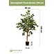 Greenmoods Kunstplant Ficus Groen 120 cm Greenmoods Kunstplant Ficus Groen 120 cm
