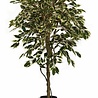 Greenmoods Kunstplant Ficus Bont 150 cm Greenmoods Kunstplant Ficus Bont 150 cm