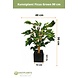 Greenmoods Kunstplant Ficus Groen 90 cm Greenmoods Kunstplant Ficus Groen 90 cm