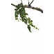 Greenmoods Kunst Klimop Hangplant 65cm Greenmoods Kunst Klimop Hangplant 65cm