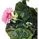 Greenmoods Kunstbloem Geranium Roze 40 cm Greenmoods Kunstbloem Geranium Roze 40 cm