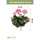 Greenmoods Kunstbloem Geranium Roze 40 cm Greenmoods Kunstbloem Geranium Roze 40 cm