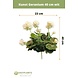 Greenmoods Kunstbloem Geranium Wit 40 cm Greenmoods Kunstbloem Geranium Wit 40 cm