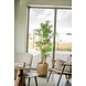 Greenmoods Kunstplant Japanse Bamboe 170 cm Greenmoods Kunstplant Japanse Bamboe 170 cm