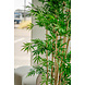 Greenmoods Kunstplant Japanse Bamboe 170 cm Greenmoods Kunstplant Japanse Bamboe 170 cm
