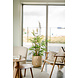 Greenmoods Kunstplant Bamboe Boeddha 120 cm Greenmoods Kunstplant Bamboe Boeddha 120 cm