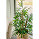 Greenmoods Kunstplant Bamboe Boeddha 120 cm Greenmoods Kunstplant Bamboe Boeddha 120 cm