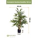 Greenmoods Kunstplant Bamboe Boeddha 120 cm Greenmoods Kunstplant Bamboe Boeddha 120 cm