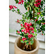 Greenmoods Kunstplant Bougainvillea Liana Fuchsia 115 cm Greenmoods Kunstplant Bougainvillea Liana Fuchsia 115 cm