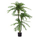 Greenmoods Cycas Kunstpalm Classic 165 cm Greenmoods Cycas Kunstpalm Classic 165 cm