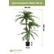 Greenmoods Cycas Kunstpalm Classic 165 cm Greenmoods Cycas Kunstpalm Classic 165 cm