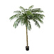 Greenmoods Kunstpalm Phoenix De Luxe 250 cm Greenmoods Kunstpalm Phoenix De Luxe 250 cm
