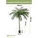 Greenmoods Kunstpalm Phoenix De Luxe 250 cm Greenmoods Kunstpalm Phoenix De Luxe 250 cm