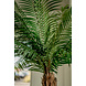 Greenmoods Kunstpalm Phoenix De Luxe 210 cm Greenmoods Kunstpalm Phoenix De Luxe 210 cm