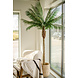 Greenmoods Kunstpalm Phoenix De Luxe 210 cm Greenmoods Kunstpalm Phoenix De Luxe 210 cm