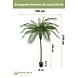 Greenmoods Kunstpalm Phoenix De Luxe 210 cm Greenmoods Kunstpalm Phoenix De Luxe 210 cm