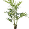 Greenmoods Kunstpalm Kentia 165 cm Greenmoods Kunstpalm Kentia 165 cm