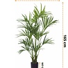 Greenmoods Kunstpalm Kentia 165 cm Greenmoods Kunstpalm Kentia 165 cm