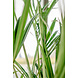 Greenmoods Kunstpalm Kentia 190 cm Greenmoods Kunstpalm Kentia 190 cm