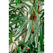 Greenmoods Lady Kunstpalm 150 cm Greenmoods Lady Kunstpalm 150 cm