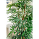 Greenmoods Lady Kunstpalm 150 cm Greenmoods Lady Kunstpalm 150 cm