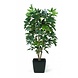 Greenmoods Kunstplant Schefflera 150 cm Greenmoods Kunstplant Schefflera 150 cm