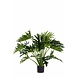 Greenmoods Kunstplant Philondendron 90 cm Greenmoods Kunstplant Philondendron 90 cm