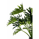Greenmoods Kunstplant Philondendron 90 cm Greenmoods Kunstplant Philondendron 90 cm