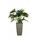 Greenmoods Kunstplant Philondendron 90 cm Greenmoods Kunstplant Philondendron 90 cm