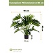 Greenmoods Kunstplant Philondendron 90 cm Greenmoods Kunstplant Philondendron 90 cm