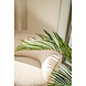 Greenmoods Kunstpalm Areca 150 cm Greenmoods Kunstpalm Areca 150 cm
