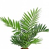 Greenmoods Kunstpalm Parlour 60 cm Greenmoods Kunstpalm Parlour 60 cm