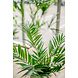 Greenmoods Kunstpalm Parlour 60 cm Greenmoods Kunstpalm Parlour 60 cm