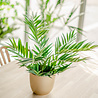 Greenmoods Kunstpalm Parlour 60 cm Greenmoods Kunstpalm Parlour 60 cm