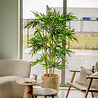 Greenmoods Kunstplant bamboe 180 cm Greenmoods Kunstplant bamboe 180 cm