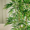Greenmoods Kunstplant bamboe 180 cm Greenmoods Kunstplant bamboe 180 cm