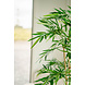 Greenmoods Kunstplant bamboe 180 cm Greenmoods Kunstplant bamboe 180 cm