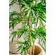 Greenmoods Kunstplant bamboe 180 cm Greenmoods Kunstplant bamboe 180 cm