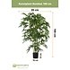 Greenmoods Kunstplant bamboe 180 cm Greenmoods Kunstplant bamboe 180 cm