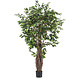 Greenmoods Kunstplant Ficus Tropical Liana 180 cm Greenmoods Kunstplant Ficus Tropical Liana 180 cm