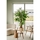 Greenmoods Kunstplant Ficus Tropical Liana 180 cm Greenmoods Kunstplant Ficus Tropical Liana 180 cm
