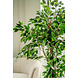 Greenmoods Kunstplant Ficus Tropical Liana 180 cm Greenmoods Kunstplant Ficus Tropical Liana 180 cm