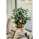 Greenmoods Kunstplant Camellia japonica 100 cm Greenmoods Kunstplant Camellia japonica 100 cm
