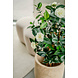 Greenmoods Kunstplant Camellia japonica 100 cm Greenmoods Kunstplant Camellia japonica 100 cm