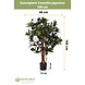 Greenmoods Kunstplant Camellia japonica 100 cm Greenmoods Kunstplant Camellia japonica 100 cm