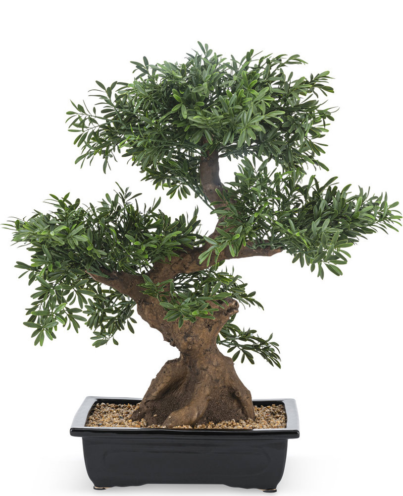 https://cdn.webshopapp.com/shops/339379/files/415941317/1280x1000x3/greenmoods-bonsai-artificiale-da-70-cm-in-vaso.jpg